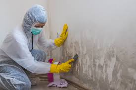 Best Mold Prevention Services  in Monongah, WV